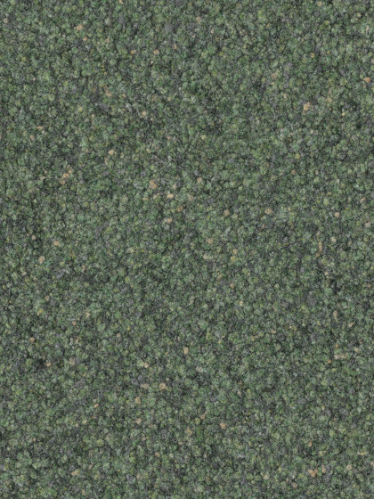 Reval® kardamom 530 | Wall-to-wall carpets | Fabromont AG