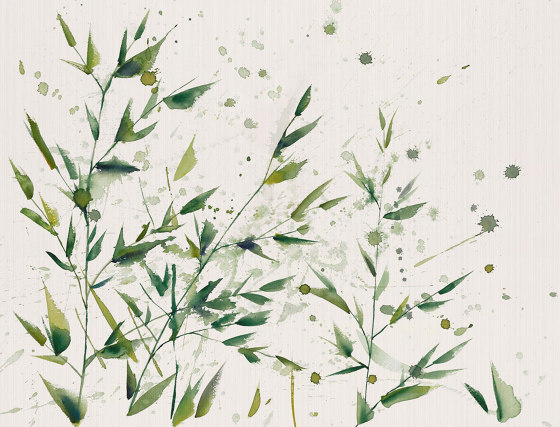 Bamboom Green | Revestimientos de paredes / papeles pintados | TECNOGRAFICA