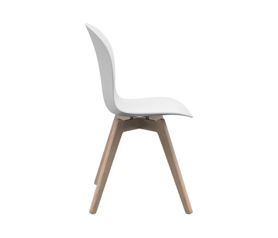 Adelaide Chair D065 | Sillas | BoConcept