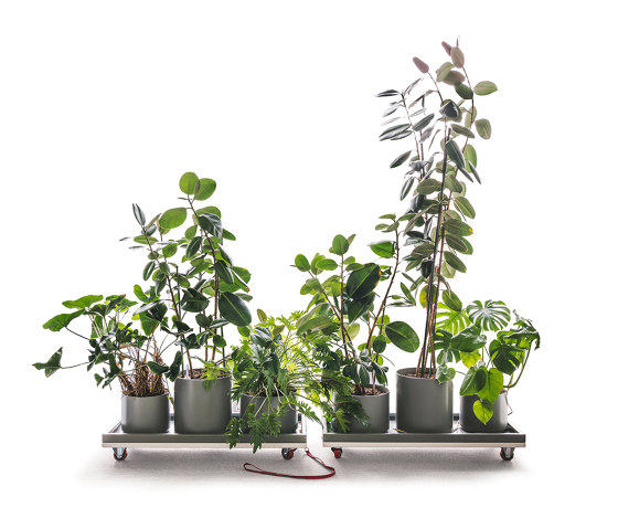 Planting Cart | Pots de fleurs | UnternehmenForm
