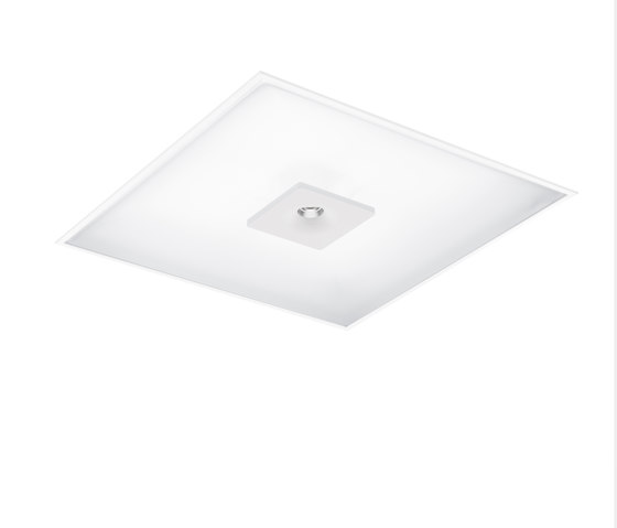 Ergetic Direct + Spot + RGB | Ceiling lights | Intra lighting