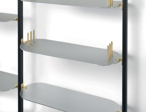 Alba Bookcase  - Wall fixing Version with satin anodized aluminium shelves | Estantería | ARFLEX