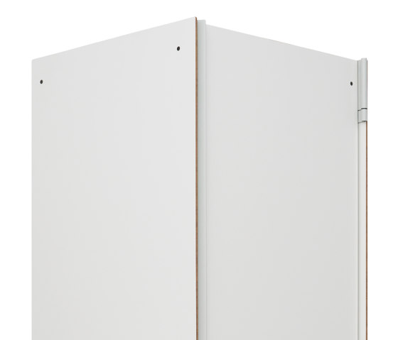 P100 | Cabinet, White / RAL 7035 light grey | Armoires | Magazin®