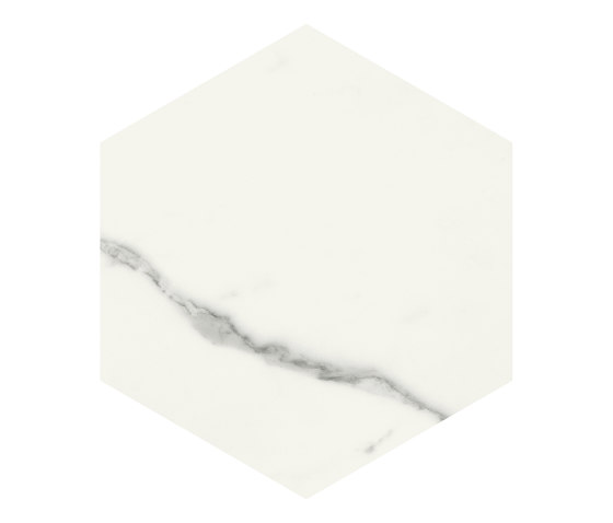 Scultorea | Statuario Vena Argento 25x21,6 | Ceramic tiles | Marca Corona