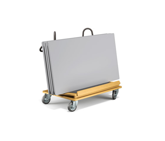 Talk trolley for tabletops | Carritos | RENZ