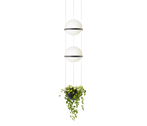 Palma 3728 Hanging lamp | Suspended lights | Vibia