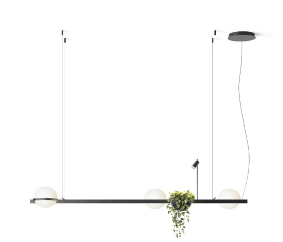 Palma 3736 Hanging lamp | Suspended lights | Vibia