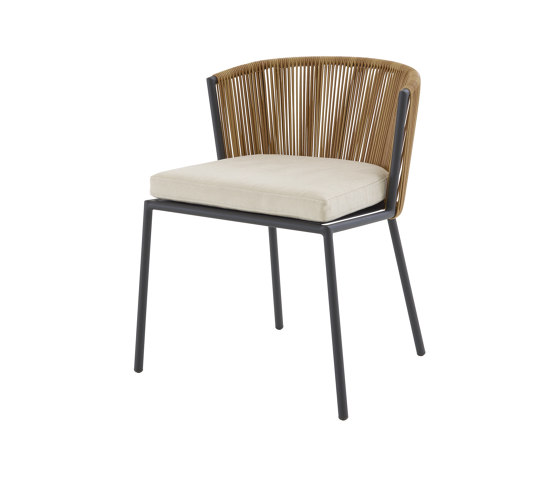 Lapel | Stuhl | Stühle | Ligne Roset