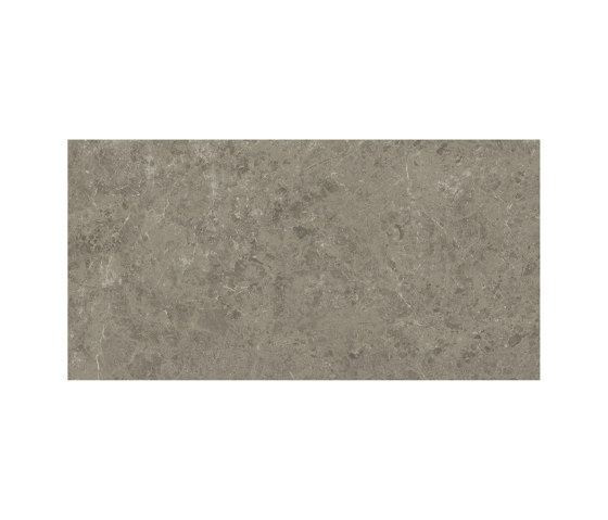 Marvel Meraviglia Grigio Elegante 75x150 Lapp. | Ceramic tiles | Atlas Concorde