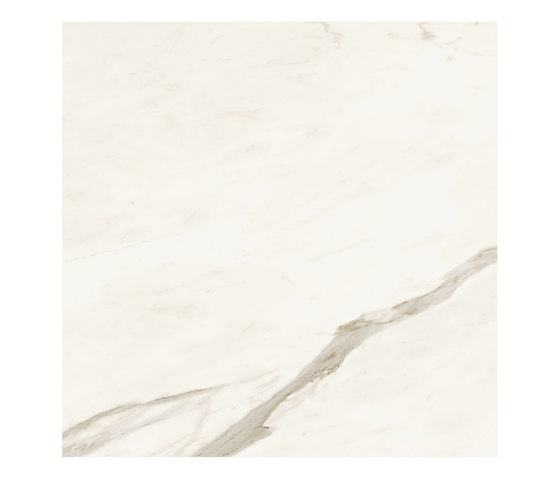 Marvel Meraviglia Calacatta Bernini 120x120 Lapp. | Carrelage céramique | Atlas Concorde