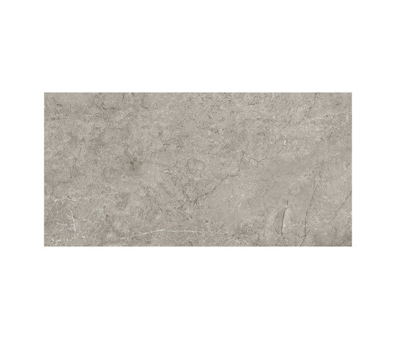 Marvel Meraviglia Silver Majestic 30x60 | Ceramic tiles | Atlas Concorde