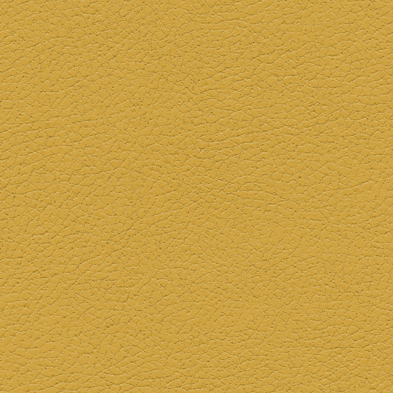 Brisa | Yukon Gold | Tissus d'ameublement | Ultrafabrics