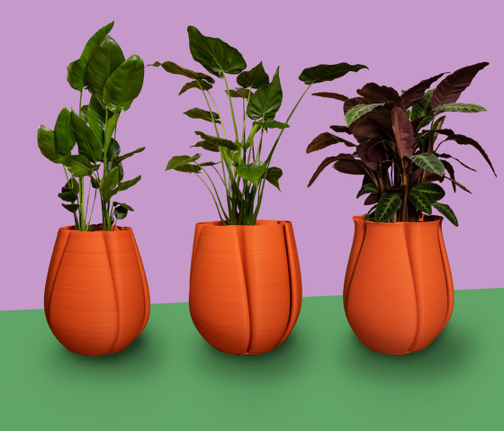 NeverEnding Tulip | Plant pots | Triboo