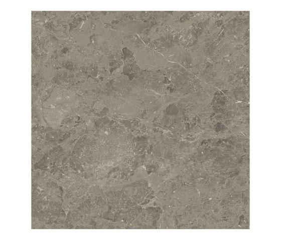 Marvel Meraviglia Grigio Elegante 60x60 Lapp. | Ceramic tiles | Atlas Concorde