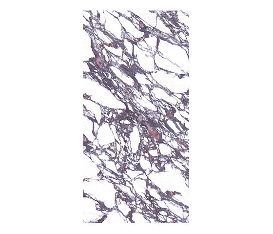 Level Marmi Calacatta Viola | Ceramic tiles | EMILGROUP