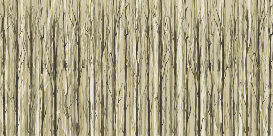 Enchanted Forest AP014-2 | Revêtements muraux / papiers peint | RIMURA