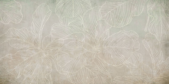 Ficus SM011-1 | Wall coverings / wallpapers | RIMURA