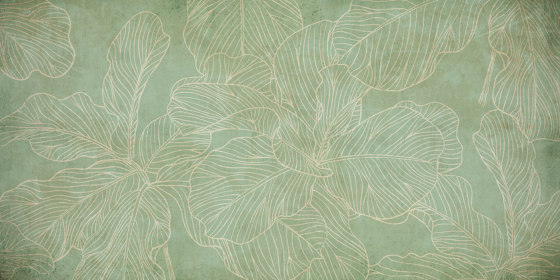 Ficus SM011-3 | Wall coverings / wallpapers | RIMURA