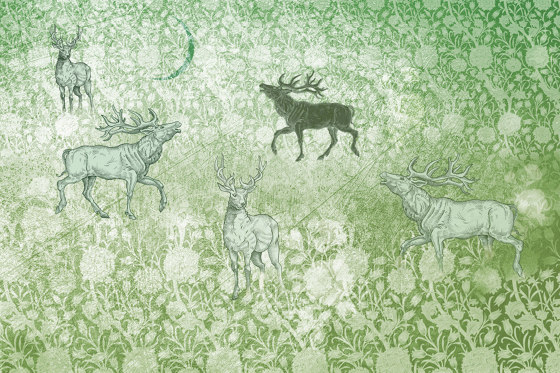 Foresta AF006-1 | Wall coverings / wallpapers | RIMURA