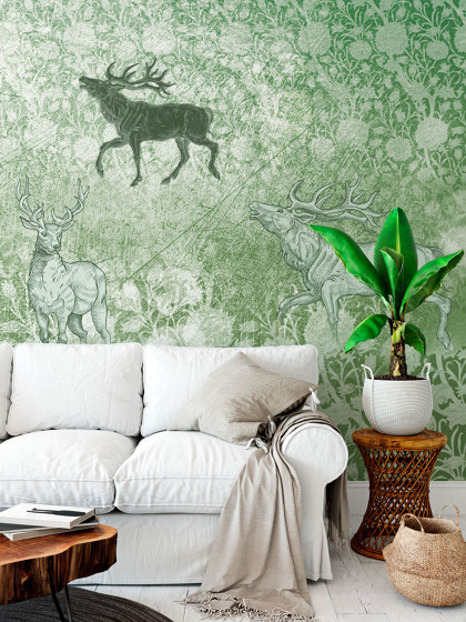 Foresta AF006-1 | Wall coverings / wallpapers | RIMURA