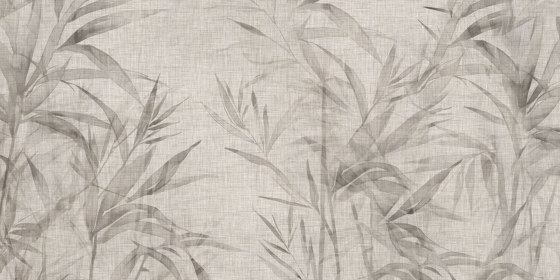 Ginseng AP080-1 | Revêtements muraux / papiers peint | RIMURA