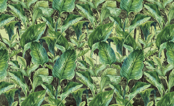 Jungle VE068-1 | Wall coverings / wallpapers | RIMURA