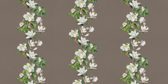 Magnolia VE155-2 | Wandbeläge / Tapeten | RIMURA