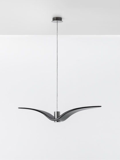 Night Birds PC1354 | Suspended lights | Brokis