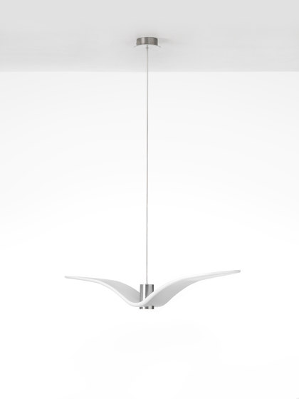 Night Birds PC1354 | Lámparas de suspensión | Brokis