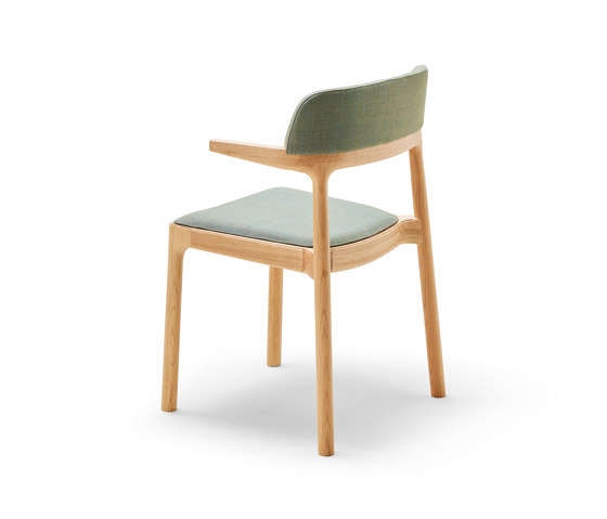 Orria Chair | Sedie | Alki