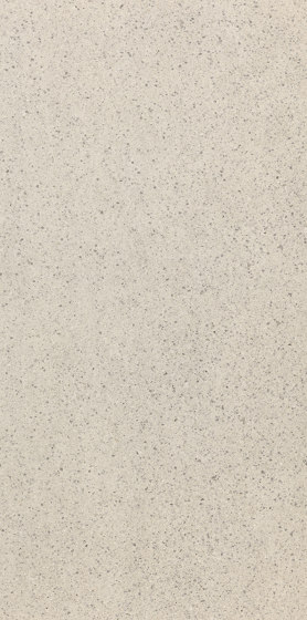 Stonetech White | Ceramic tiles | Casalgrande Padana