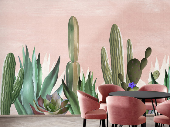 Captivating Cactii | Revestimientos de paredes / papeles pintados | WallPepper/ Group