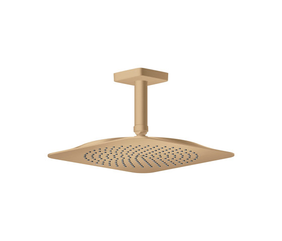 AXOR Citterio C Douche de tête 270/270 1 jet avec raccordement plafond | Bronze brossé | Robinetterie de douche | AXOR