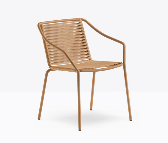 Philía 3905 | Chairs | PEDRALI