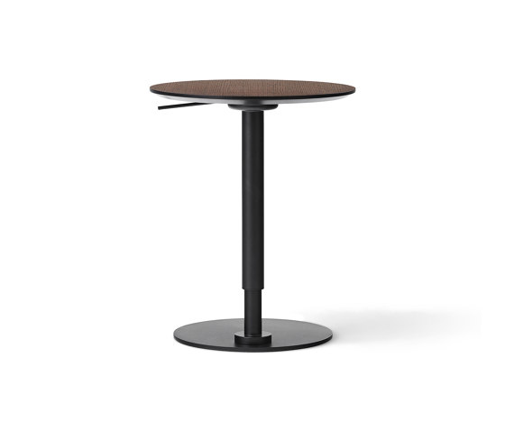 Branch Side Table | Dark Stained Oak | Tables d'appoint | Audo Copenhagen