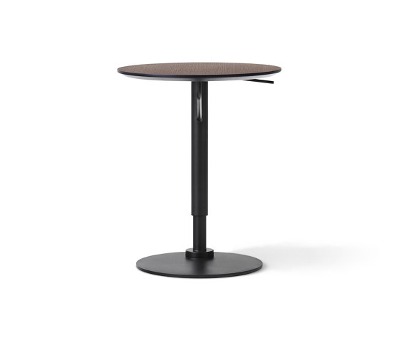 Branch Side Table | Dark Stained Oak | Tables d'appoint | Audo Copenhagen
