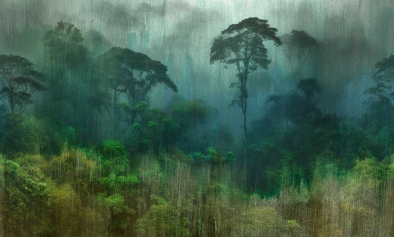 Amazzonia Green | Wall coverings / wallpapers | TECNOGRAFICA
