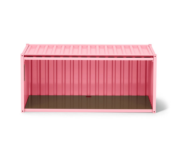 DS | Container - light pink RAL 4010 | Credenze | Magazin®