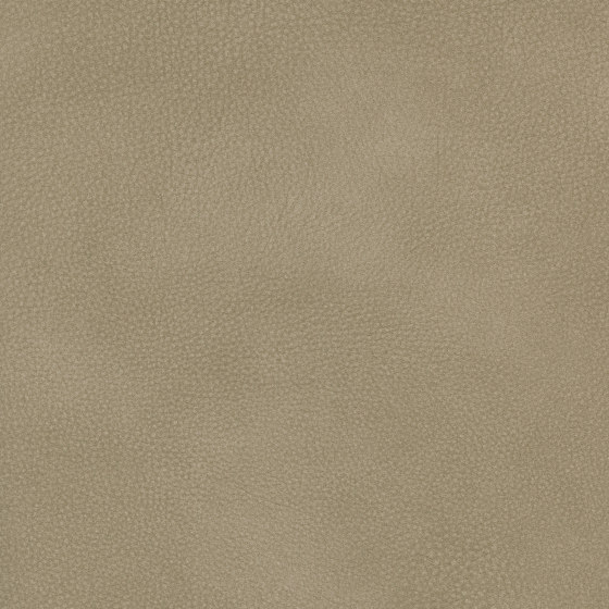 A3722/140 | Upholstery fabrics | Englisch Dekor