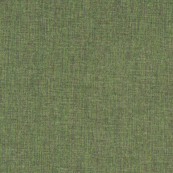 A3797/140 | Upholstery fabrics | Englisch Dekor