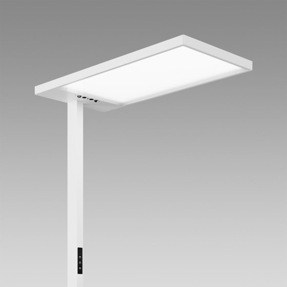 Neo / Neo+ | Free-standing lights | Regent Lighting