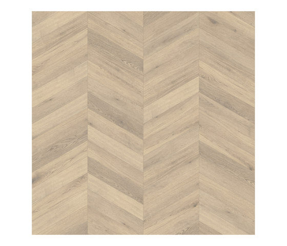 Form Laying Patterns - 0,7 mm I Chevron FP285 | Pavimenti plastica | Amtico