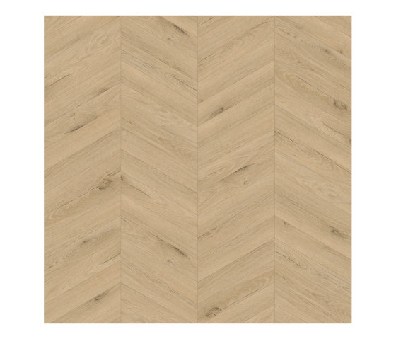 Form Laying Patterns - 0,7 mm I Chevron FP287 | Pavimenti plastica | Amtico