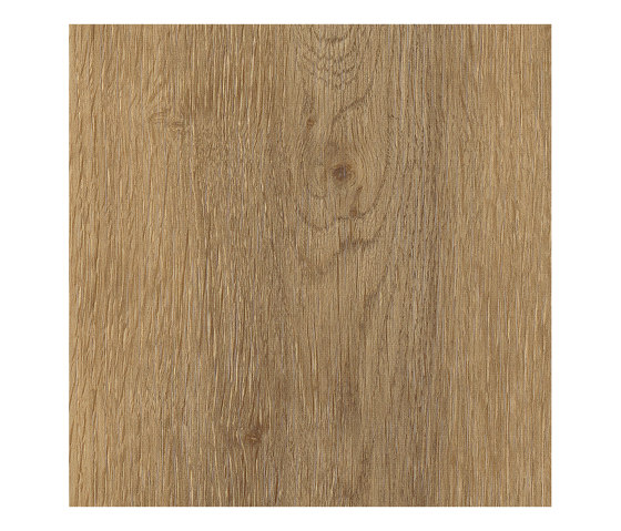 Form Woods - 0,7 mm I Falun Oak | Vinyl flooring | Amtico