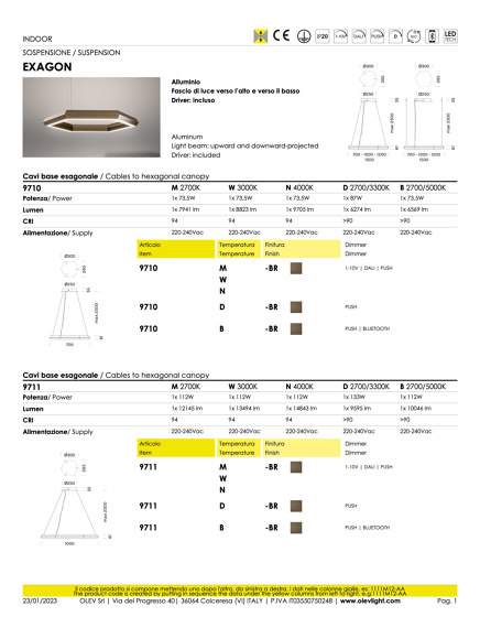 Exagon | Suspensions | OLEV