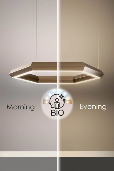 Exagon Silence Biolight | Suspended lights | OLEV