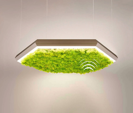 Exagon Silence Green | Suspended lights | OLEV