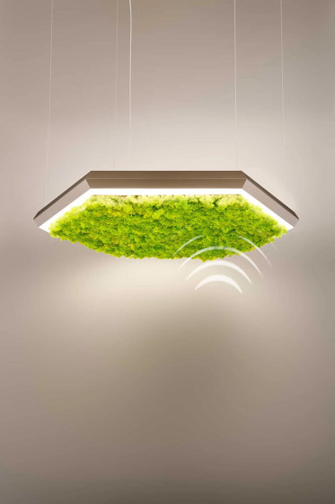 Exagon Silence Green | Suspended lights | OLEV