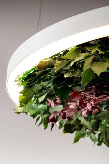 Gavin Silence Leaf | Suspended lights | OLEV