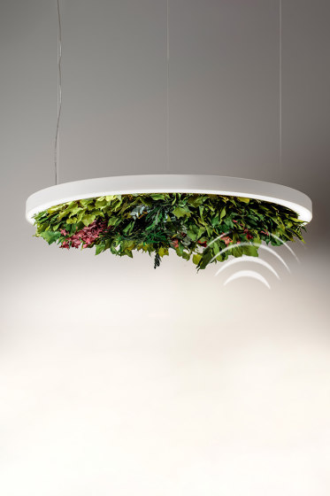 Gavin Silence Leaf | Suspended lights | OLEV